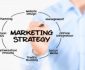 Maximizing Sales Opportunities with Lead Follow-Up Tools